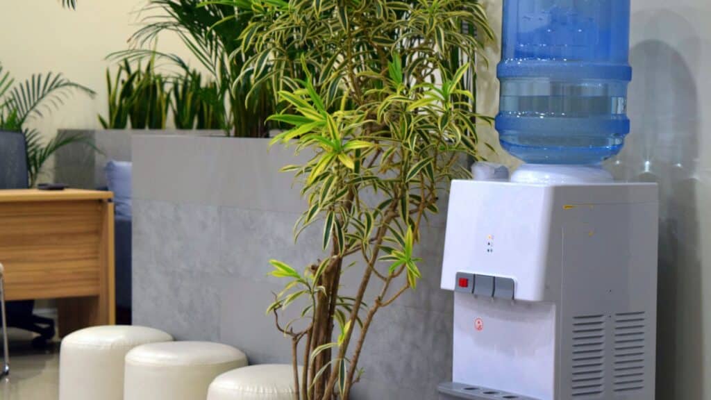 The Role of Water Services on Campus